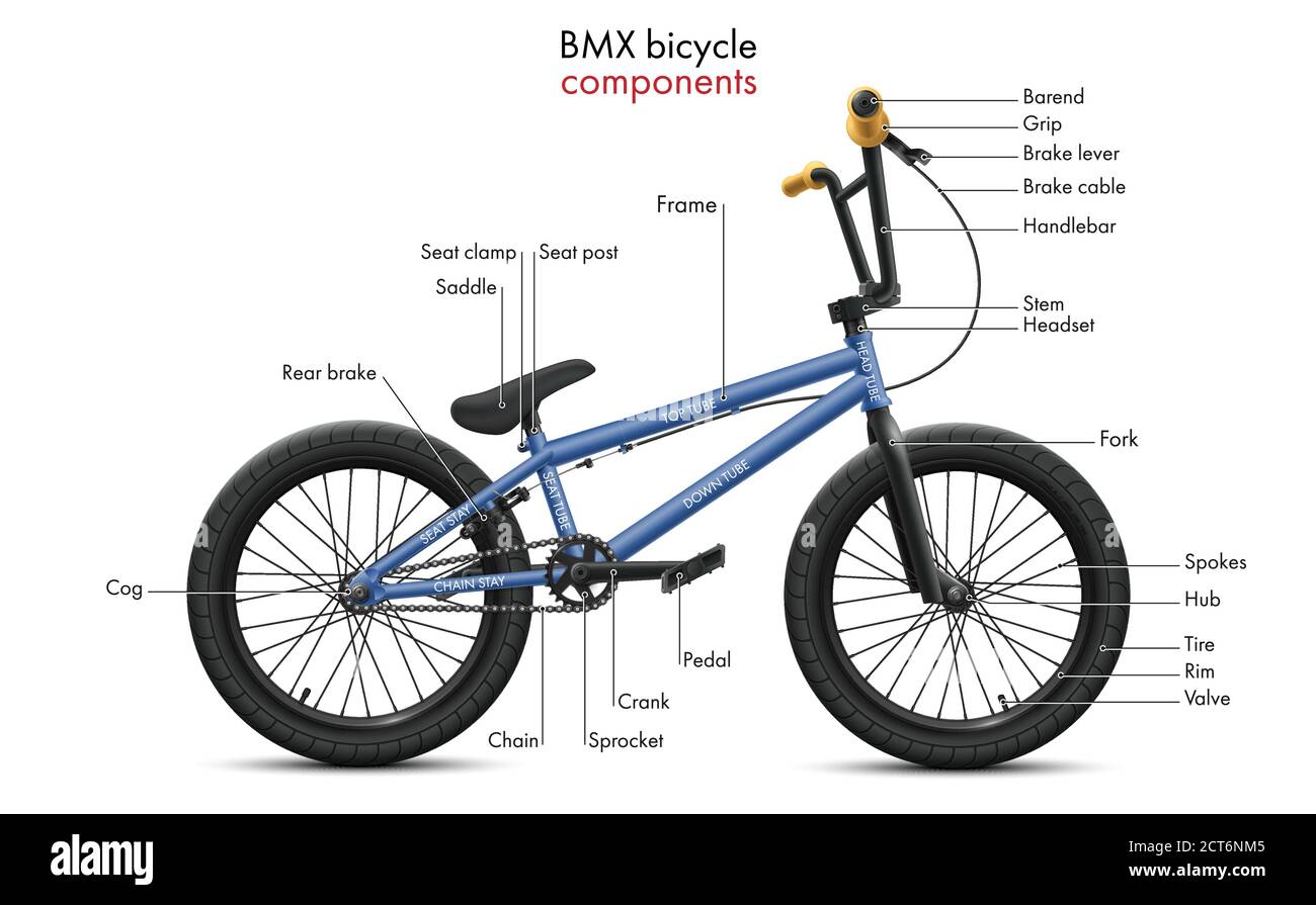 Labeled BMX bicycle components. Vector technical illustration shows a  diagram of the bike parts and the structure of the tubular frame elements  Stock Vector Image & Art - Alamy