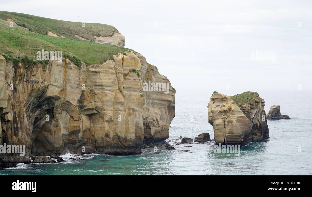 Tunnel Beach Sandstone cliffs at the beach near  Dunedin, New Zealand. Stock Photo