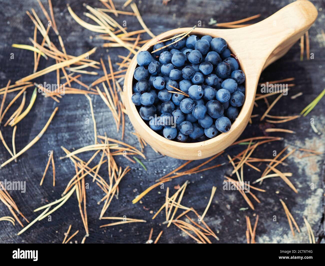 Fresh blueberries in a wooden mug on a stump in the forest. Delicious and healthy food concept. Stock Photo
