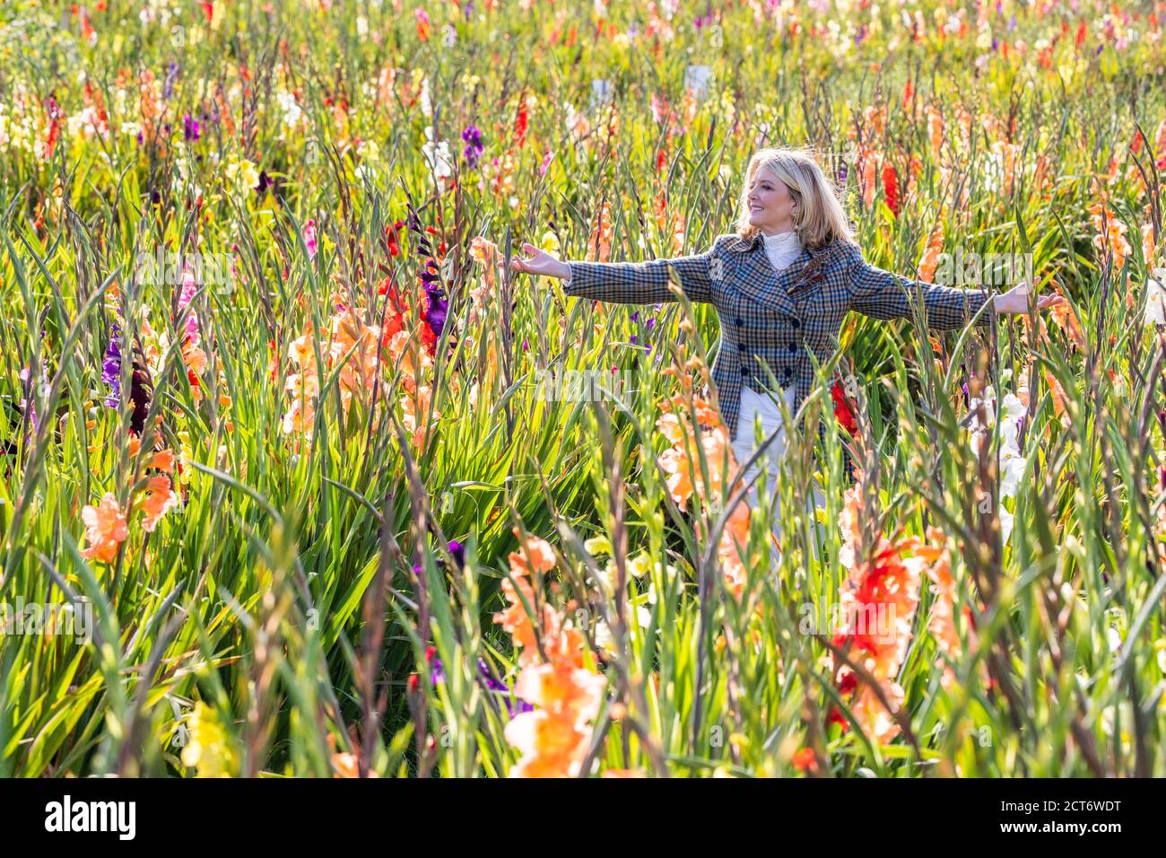 Singer, song-writer and broadcaster Fiona Kennedy launches an appeal for this year's #iSing4Peace, on World Peace Day, from the Flower Field at Laurencekirk, Aberdeenshire. Stock Photo