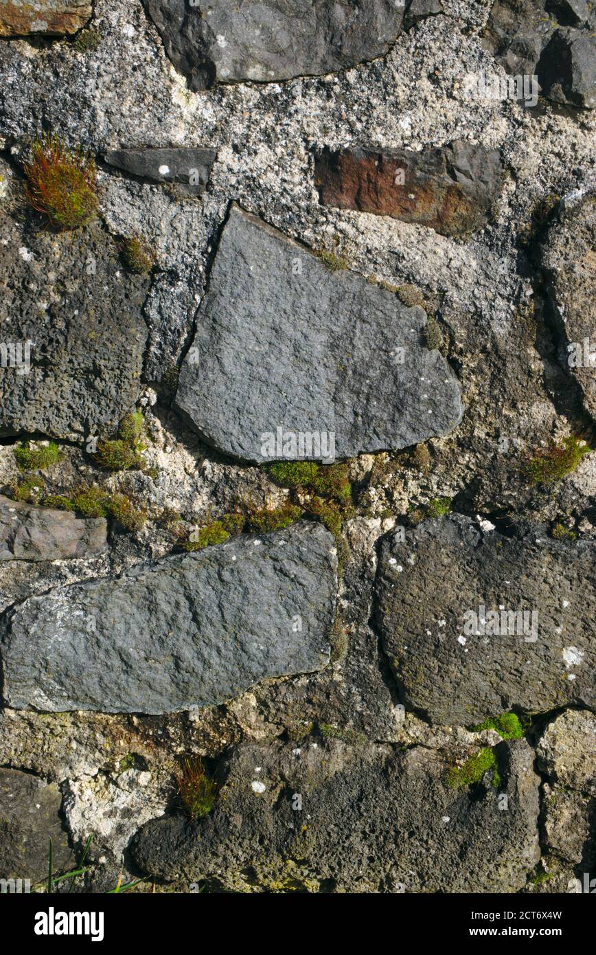Traditional Auvergnat volcanic stone wall close up Stock Photo