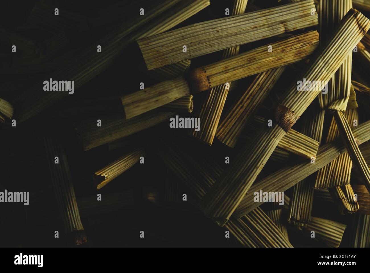 macro close up Equisetum arvense “ horse tail “ dry plant, selective focus, tea Stock Photo