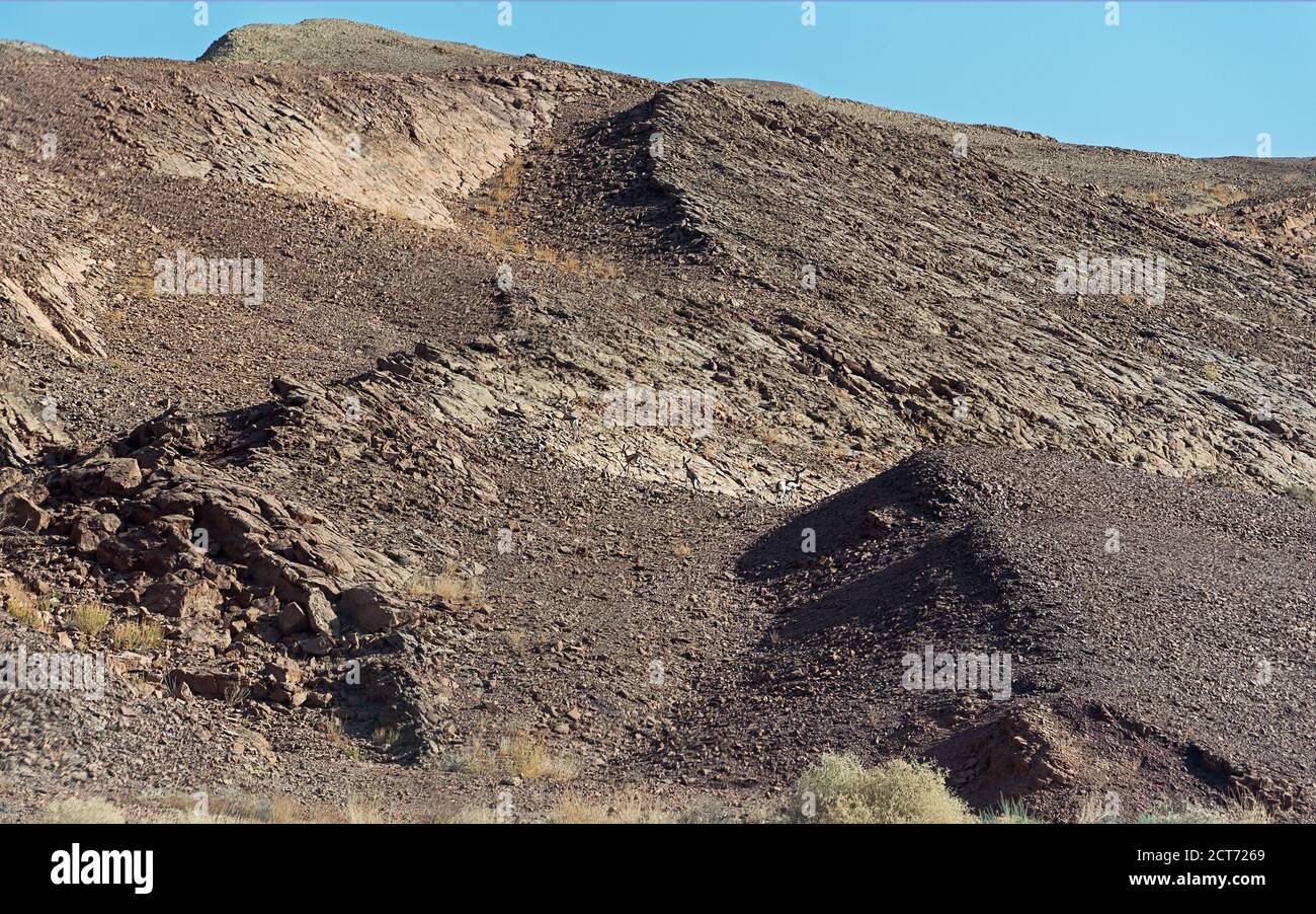 Harsh Hillside Environment High Resolution Stock Photography and Images ...