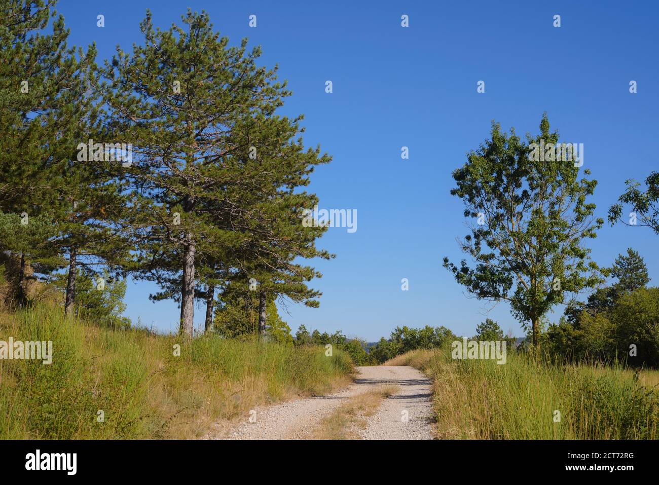 Paysage de la route hi-res stock photography and images - Alamy