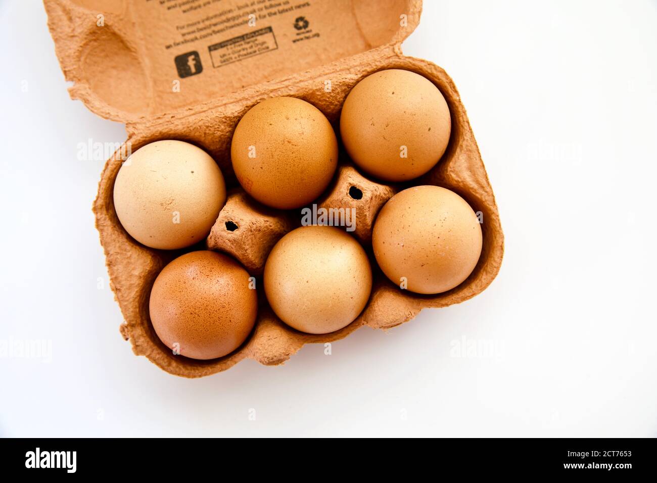 Half a dozen free range brown eggs on a white background Stock Photo