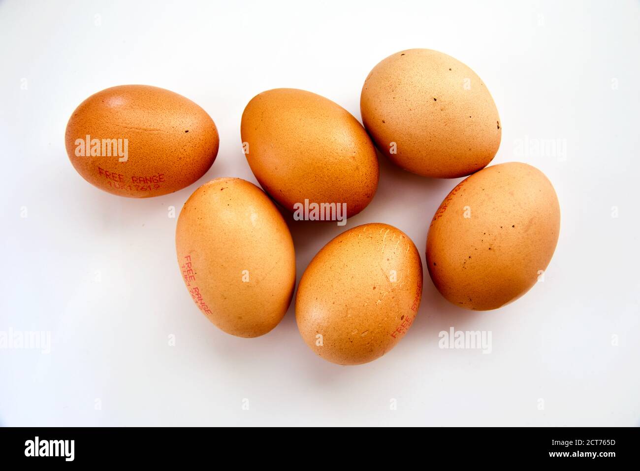Half a dozen free range brown eggs on a white background Stock Photo