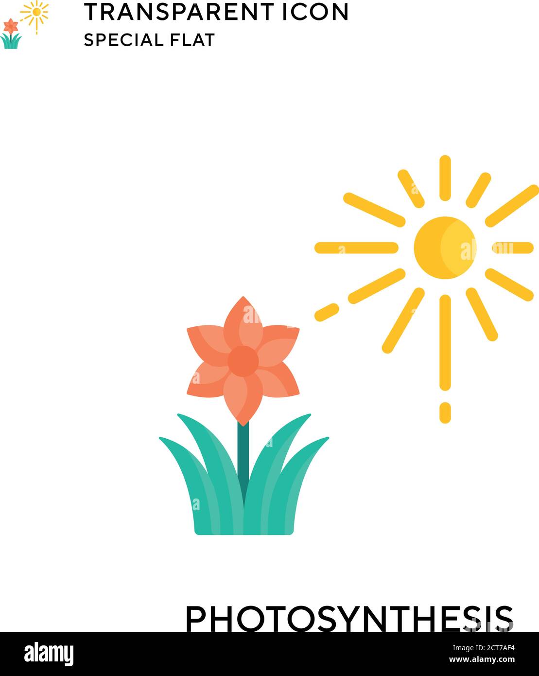 Photosynthesis Diagram High Resolution Stock Photography and Images - Alamy
