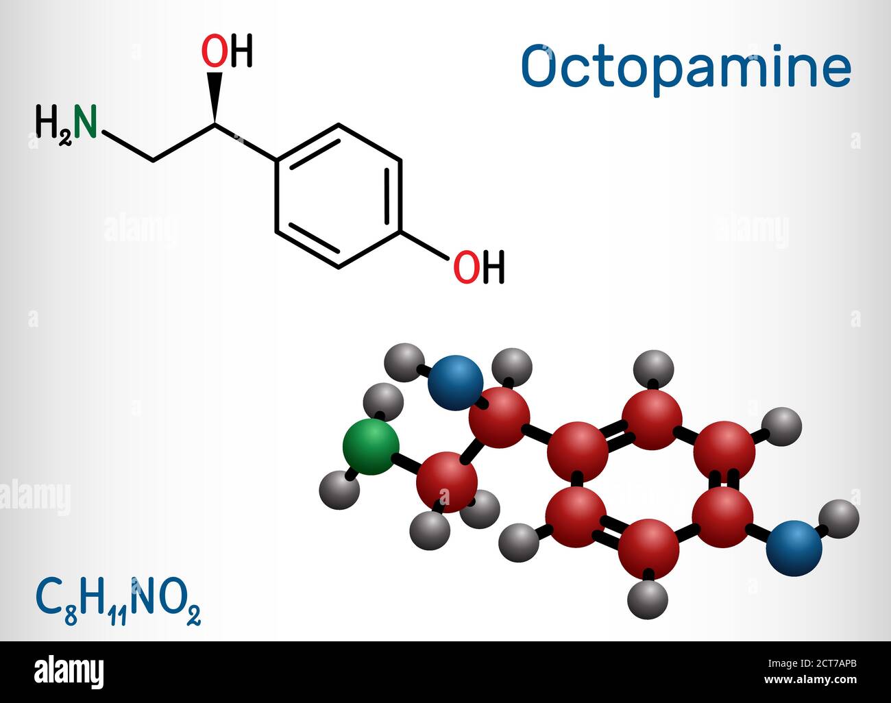 Octopamine molecule. It is biogenic phenylethanolamine, sympathomimetic drug . Structural chemical formula and molecule model. Vector illustration Stock Vector
