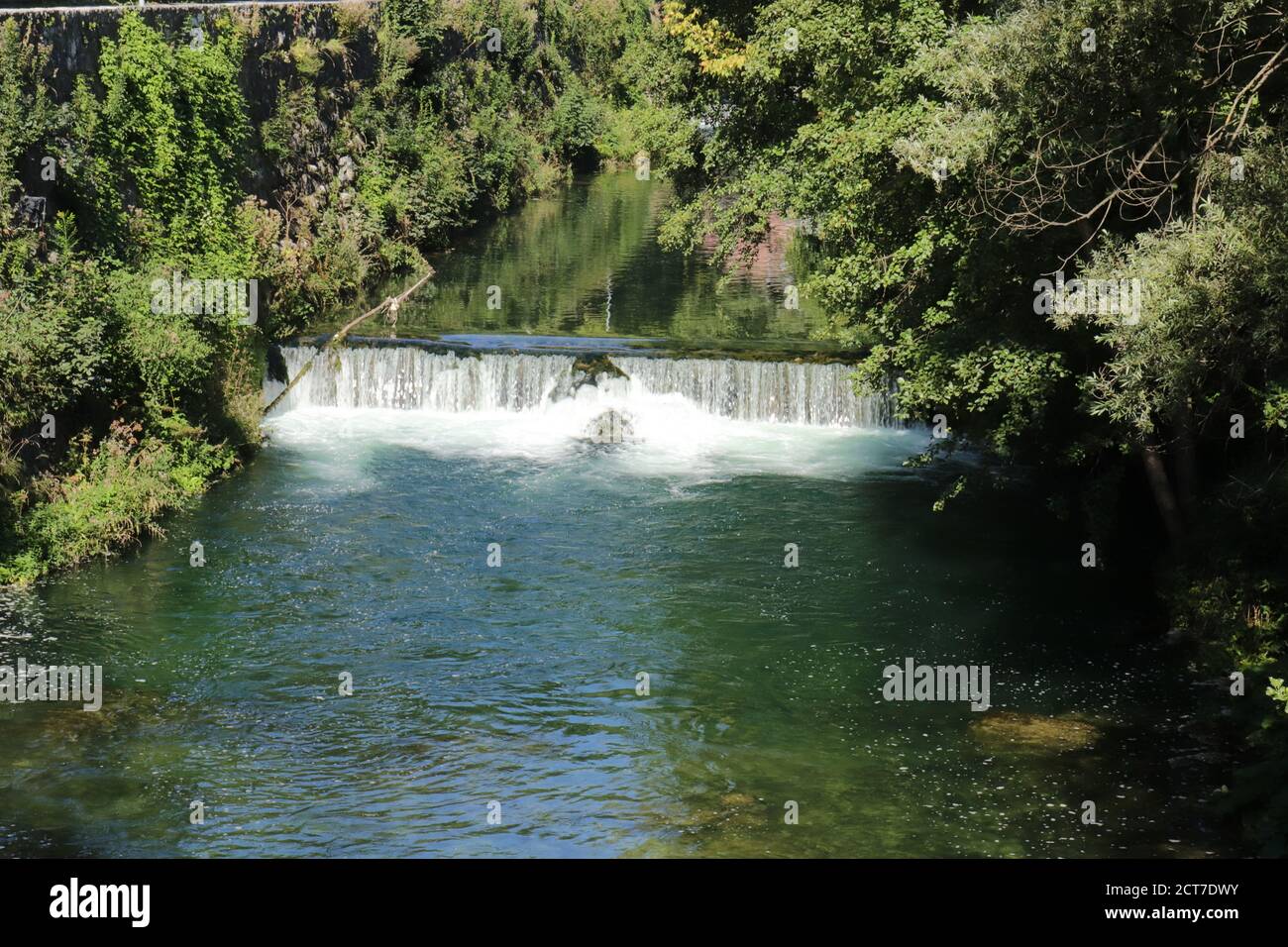 Thick tropical rainforest jungle hi-res stock photography and images ...