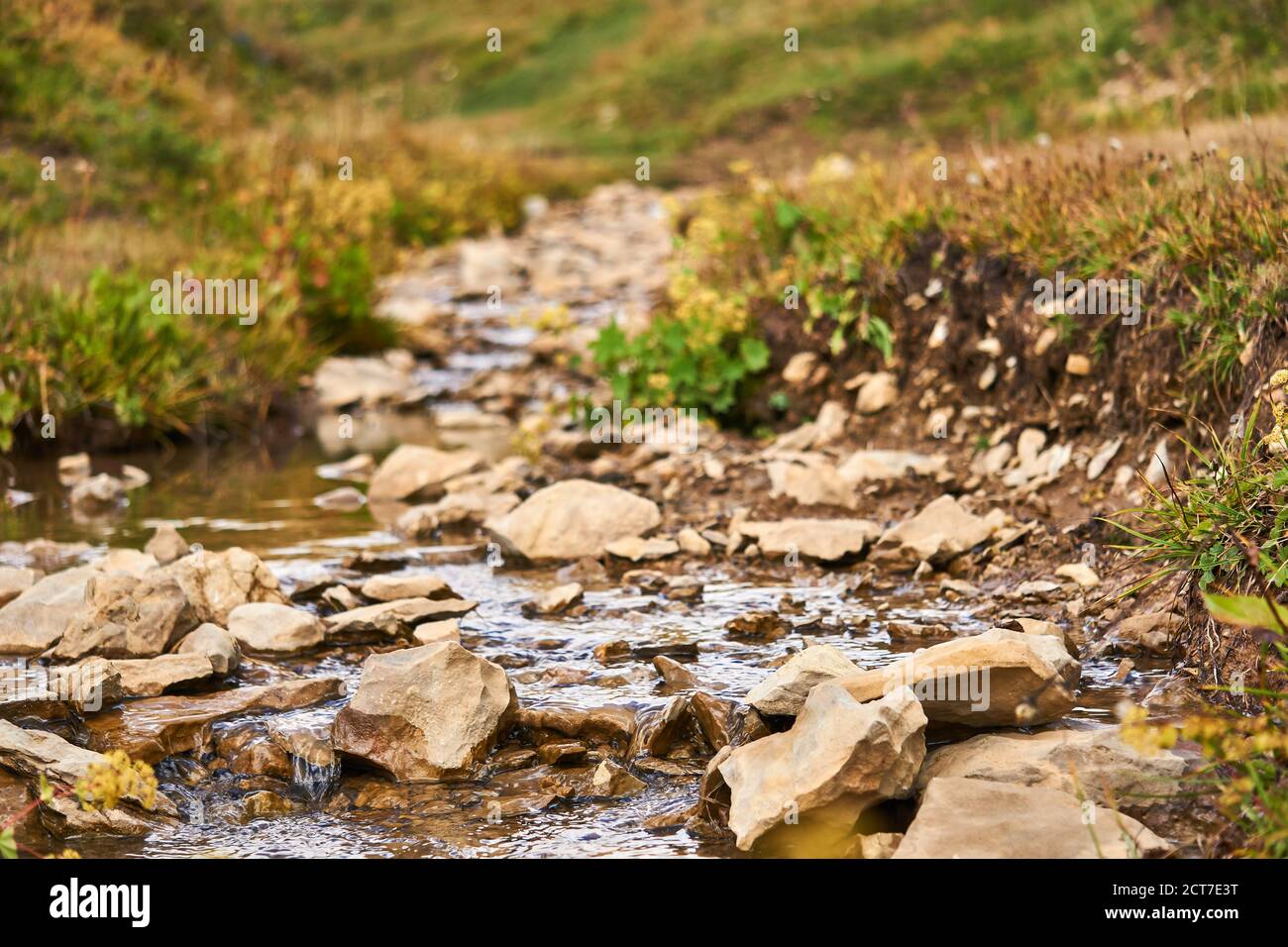 small rocky stream among the grass close-up with blurred background Stock Photo