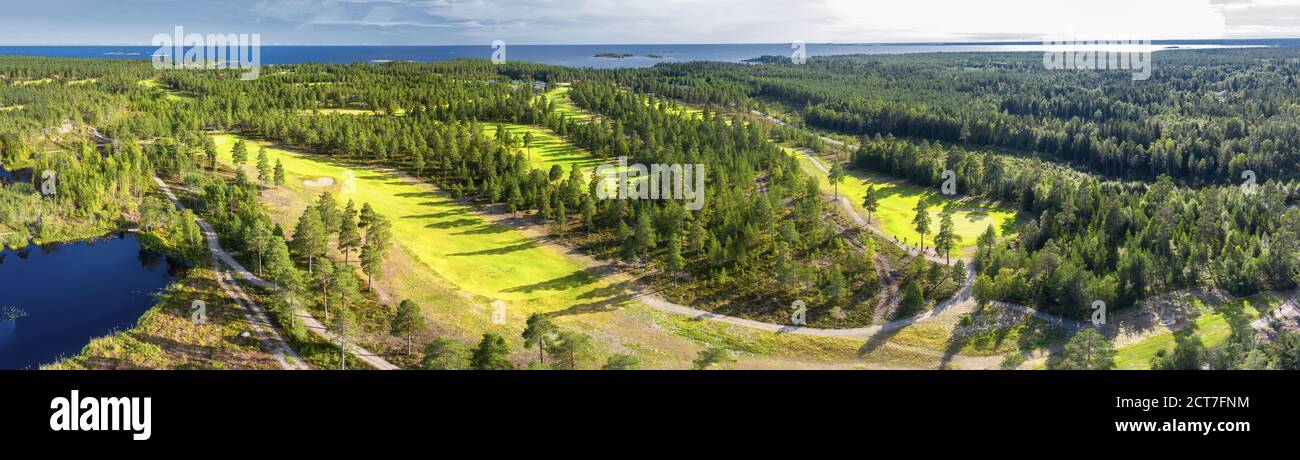 Aerial panorama on few narrow long golf courses in Northern forest. Unidentified golfers play golf on Golf course, pine trees around, Baltic Sea on ho Stock Photo