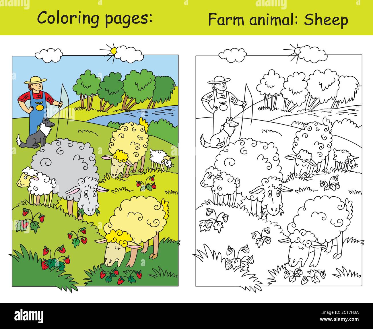 Coloring pages with cute sheeps gracing on meadow and shepherd with his dog. Cartoon vector illustration. Coloring and colored image of sheep. Stock i Stock Vector