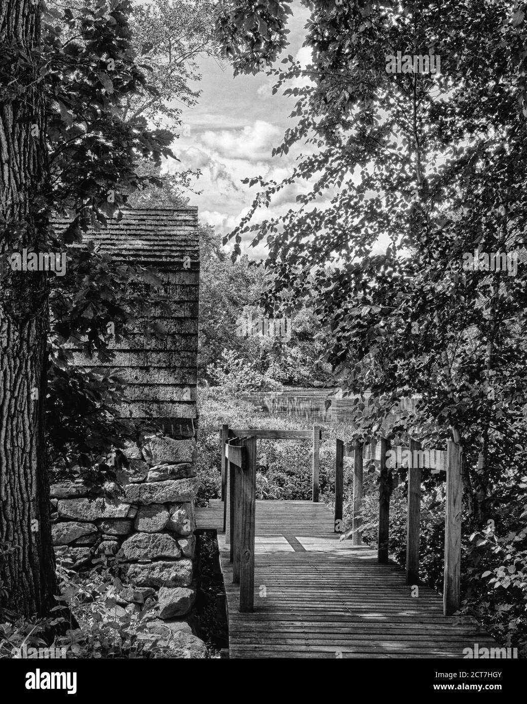 A hidden walkway to small wood shingled house on the Concord River in the Minuteman National Historic Park. Lush green growth and flows fill the backg Stock Photo