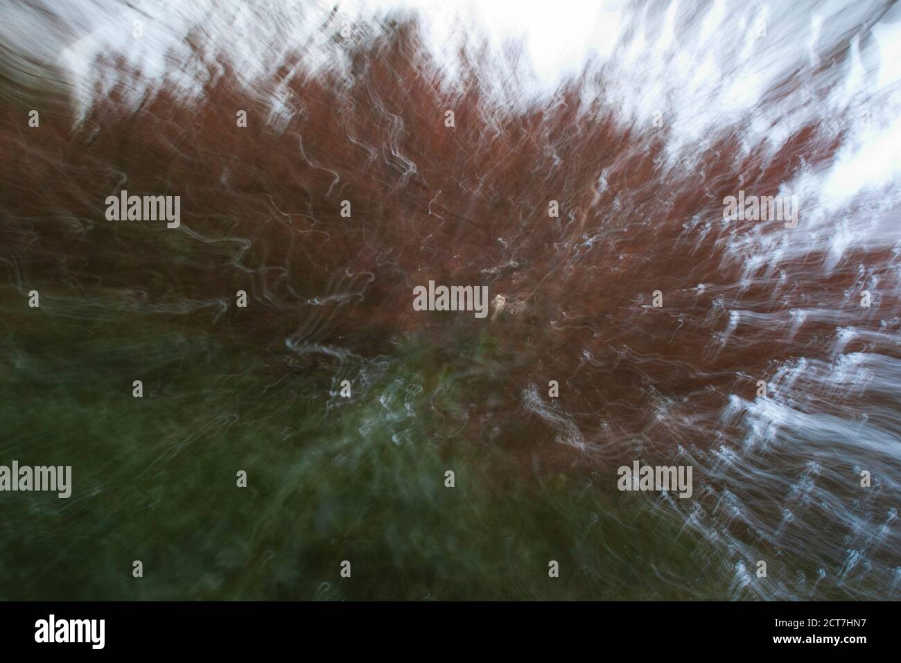 Intentional camera movement image of trees with patches of green and brown. Stock Photo