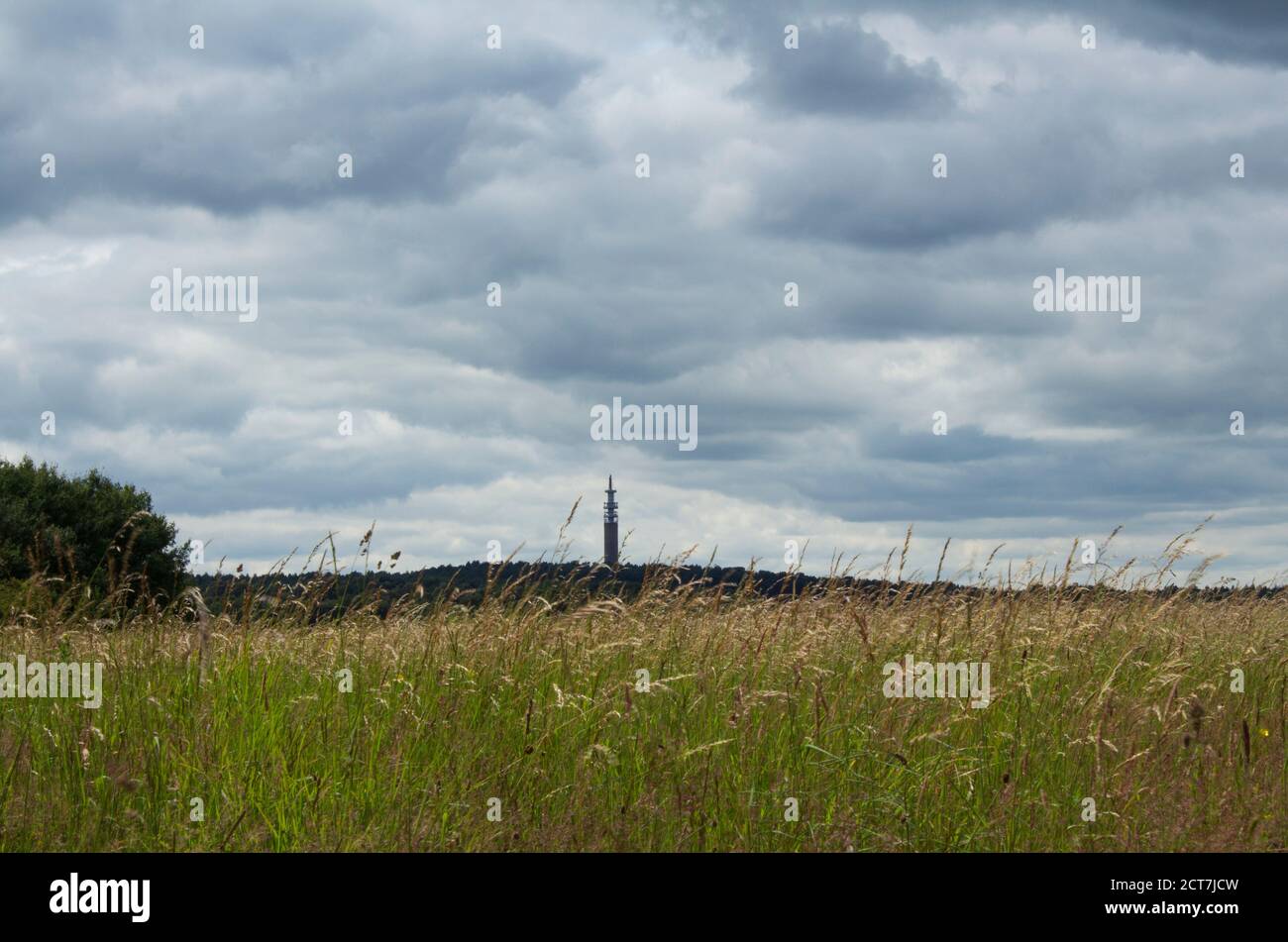 A view of Pye Green Tower, Cannock Chase taken from a distance with feathery grasses in the foreground. Stock Photo
