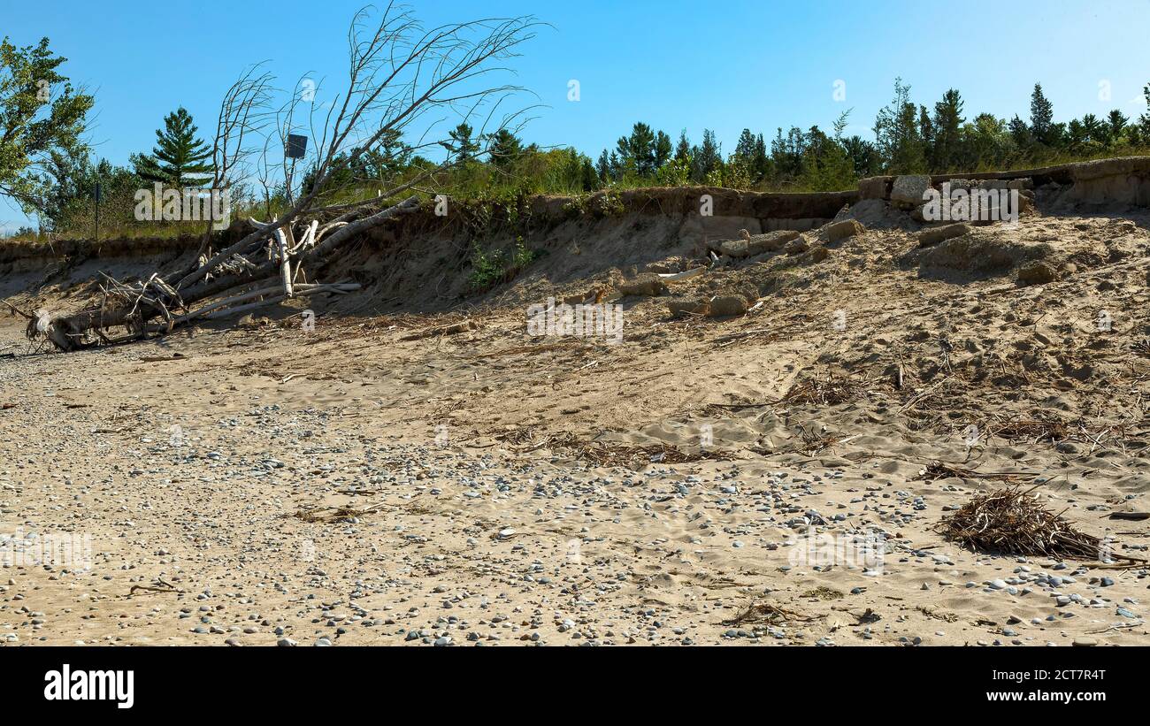 Shoreline erosion with tree roots exposed Lake Huron Pinery Provincial Park. Grand Bend Ontario Canada. Stock Photo