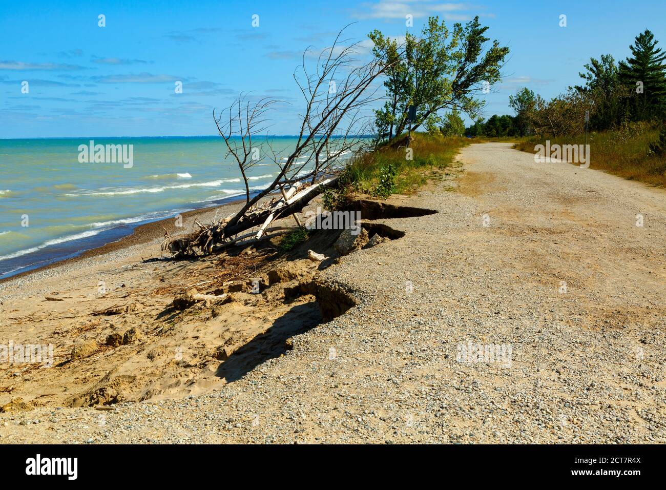 Shoreline erosion with tree roots exposed Lake Huron Pinery Provincial Park. Grand Bend Ontario Canada. Stock Photo