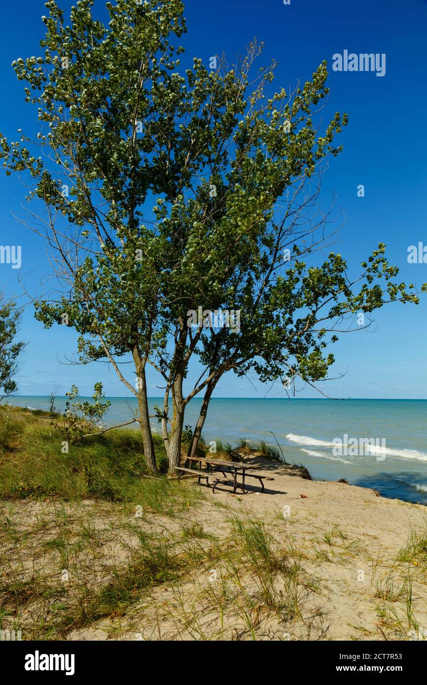 Picnic table on shoreline of Lake Huron Pinery Provincial Park. Grand