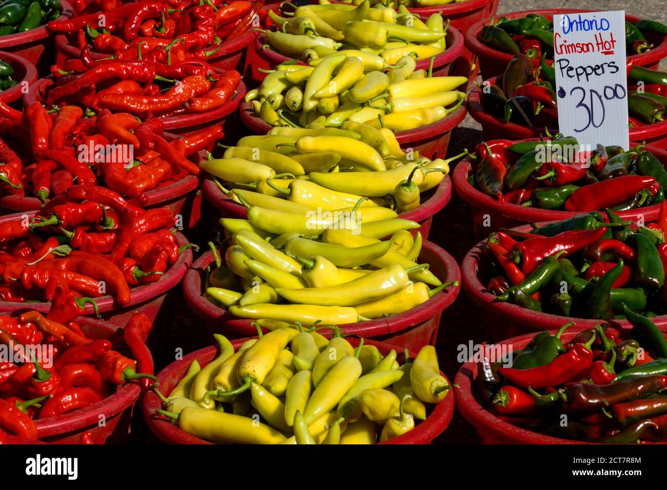 Peppers for sale at outdoor market. Ontario Canada Stock Photo - Alamy