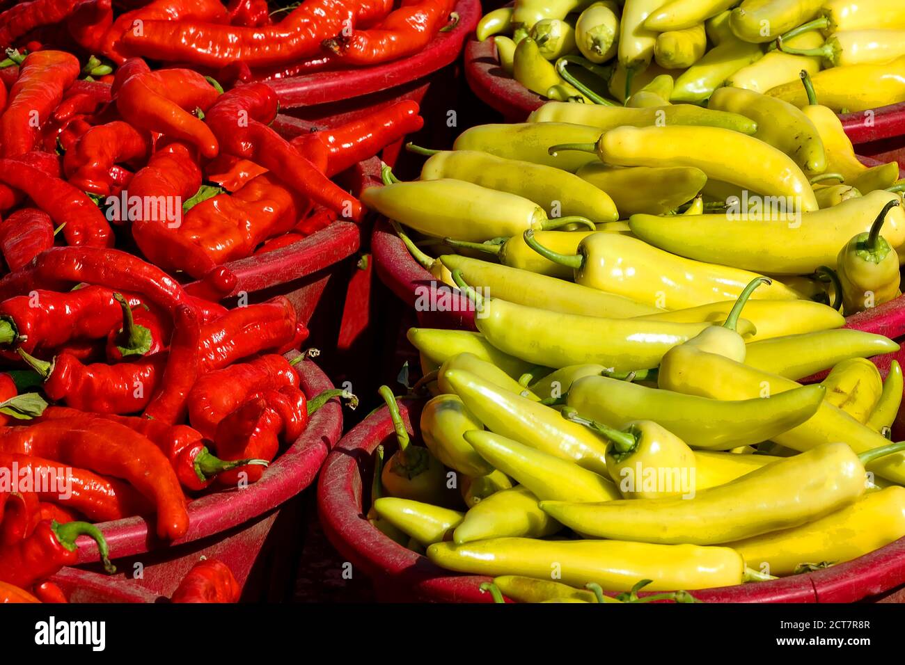 Peppers for sale at outdoor market. Ontario Canada Stock Photo Alamy