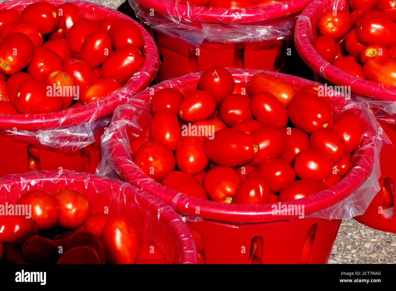 Tomatoes for sale at farm market hi-res stock photography and images ...