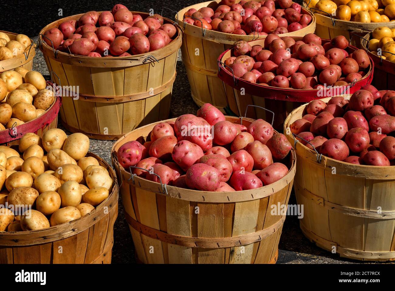 Market stand selling fresh harvested potatoes in bushel baskets at