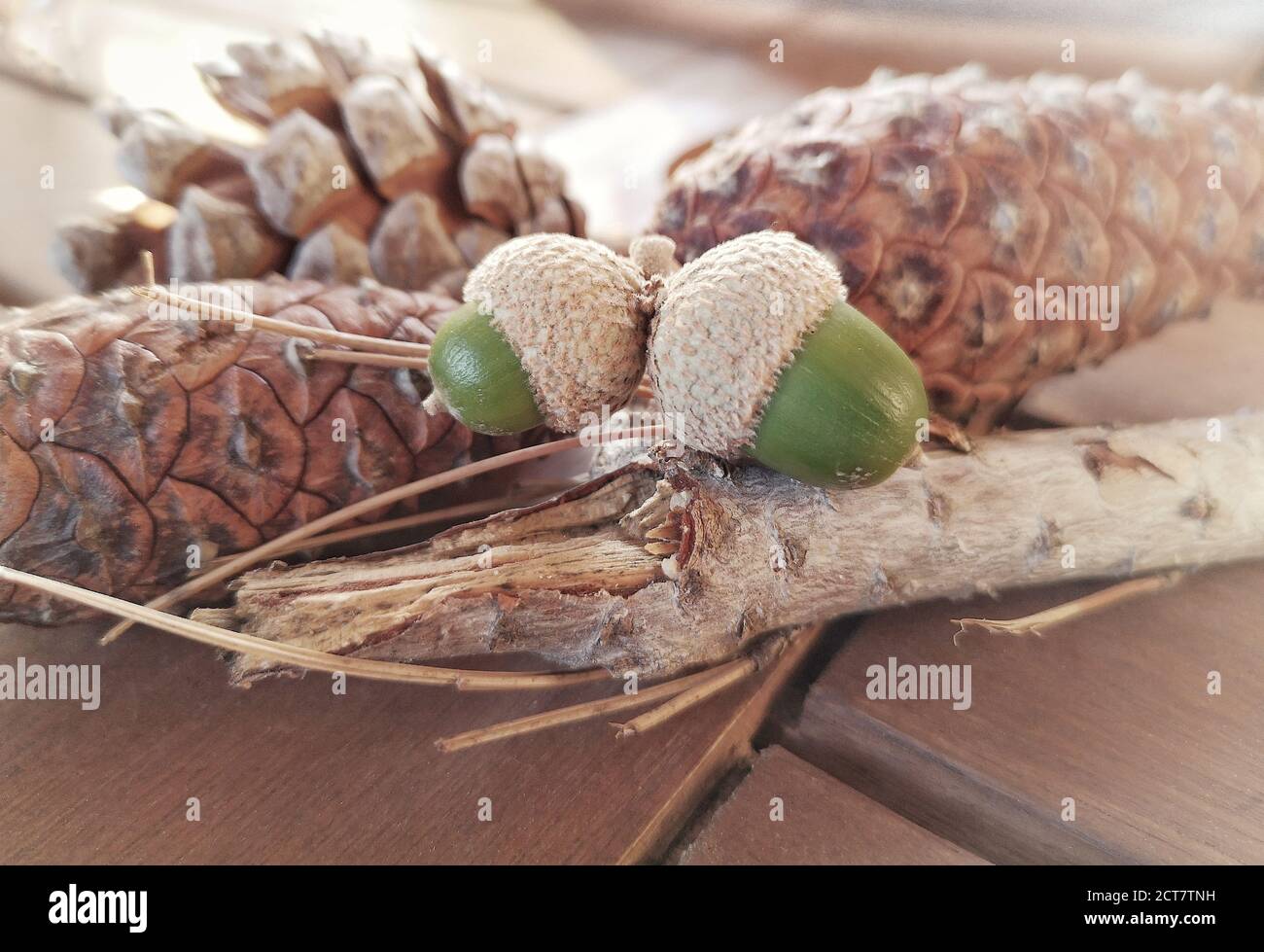Natural background with autumn leaves and autumn's fruits Stock Photo ...