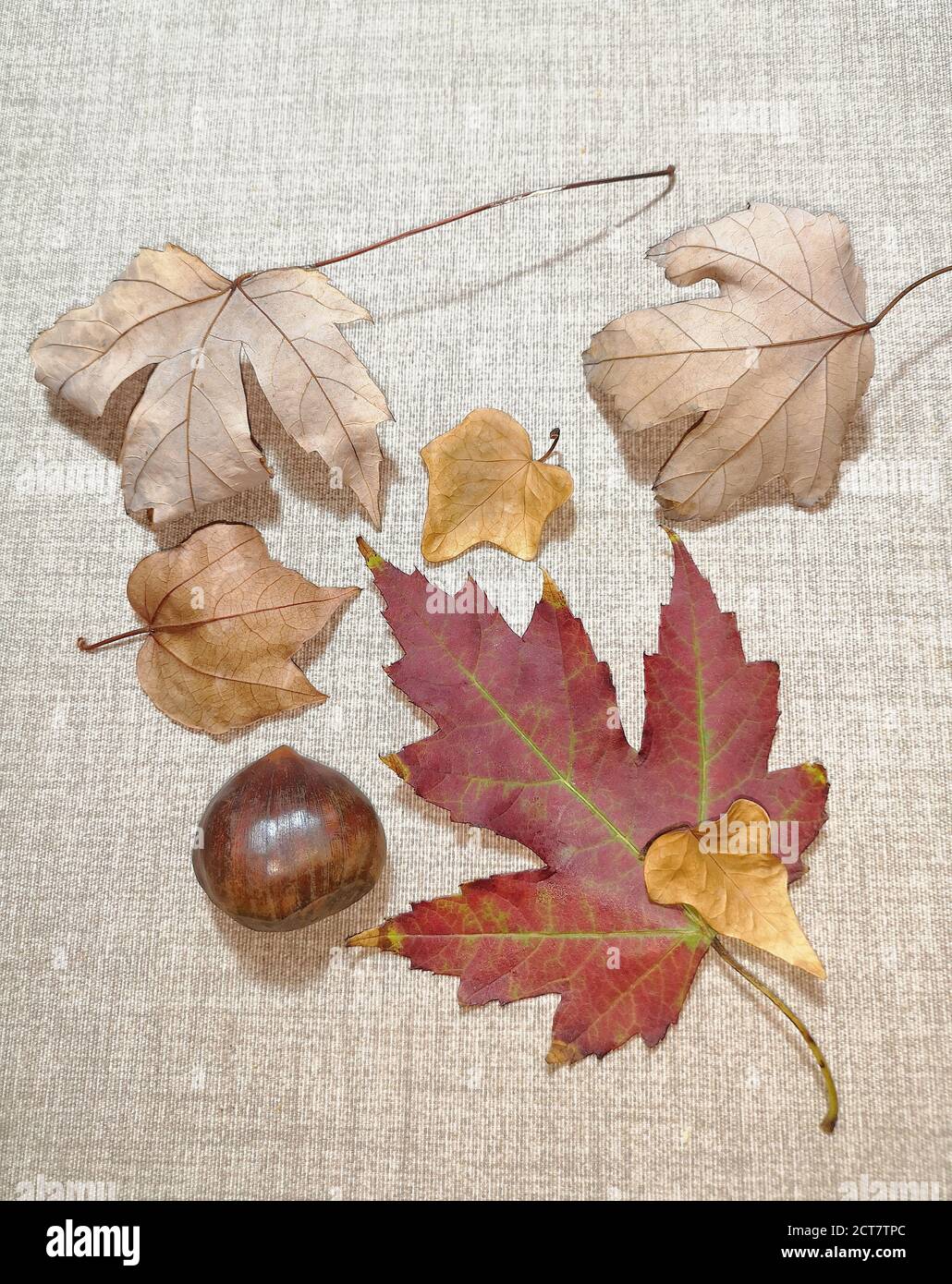 Natural background with autumn leaves and autumn's fruits Stock Photo ...