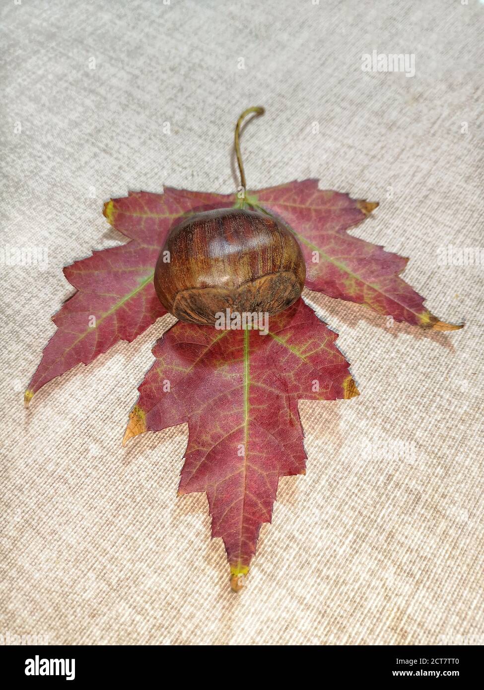 Natural background with autumn leaves and autumn's fruits Stock Photo ...