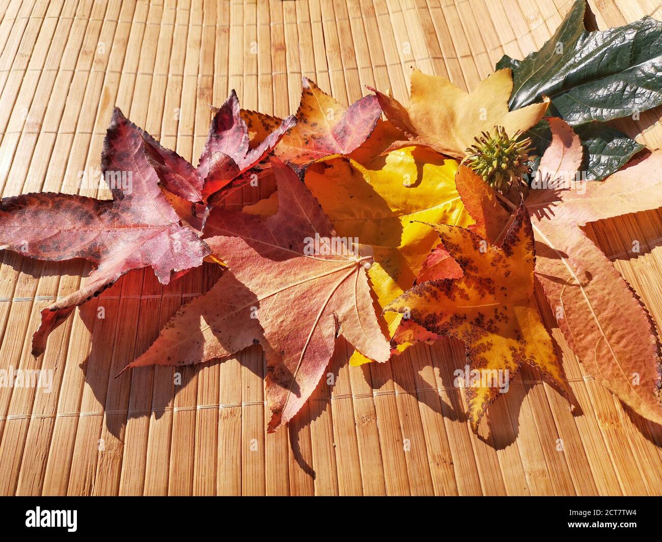 Natural background with autumn leaves and autumn's fruits Stock Photo ...
