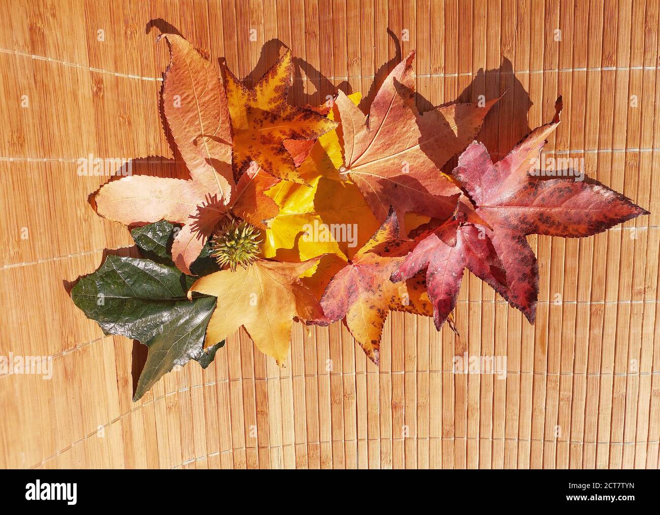 Natural background with autumn leaves and autumn's fruits Stock Photo ...