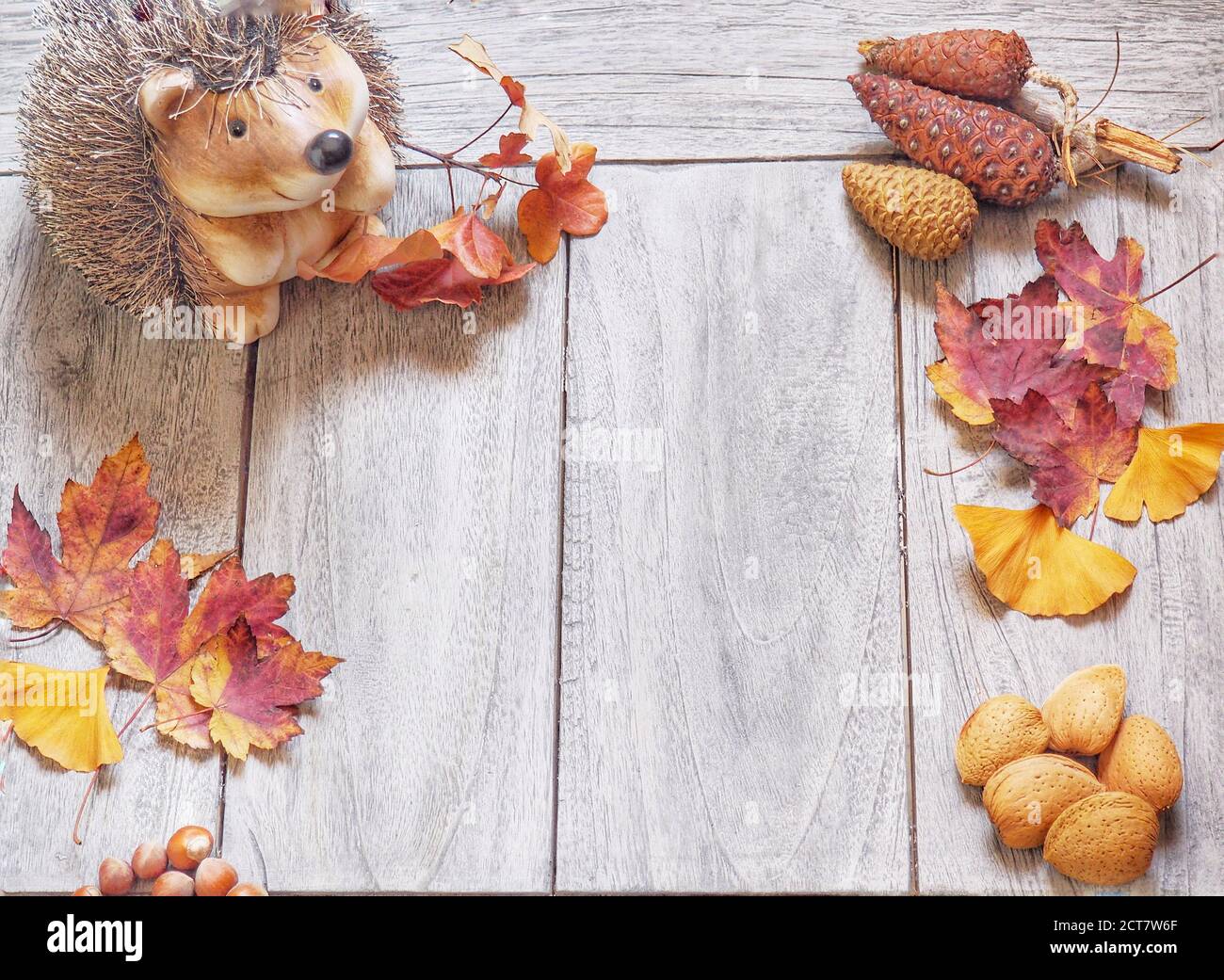 Natural background with autumn leaves and autumn's fruits Stock Photo ...