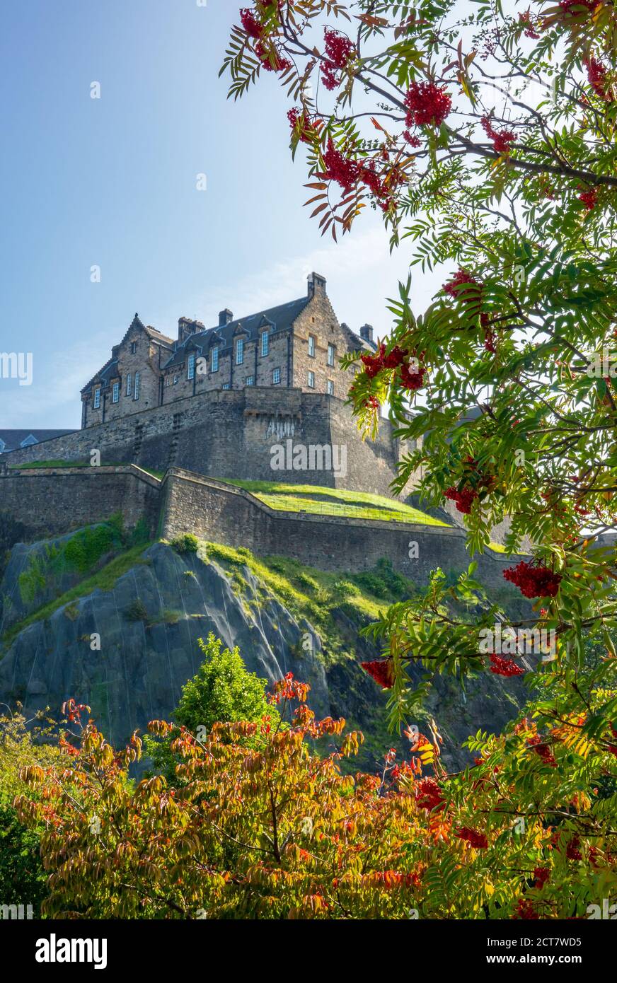 Edinburgh Castle, With Focus On Trees In Princes Street Gardens In The Foreground Stock Photo