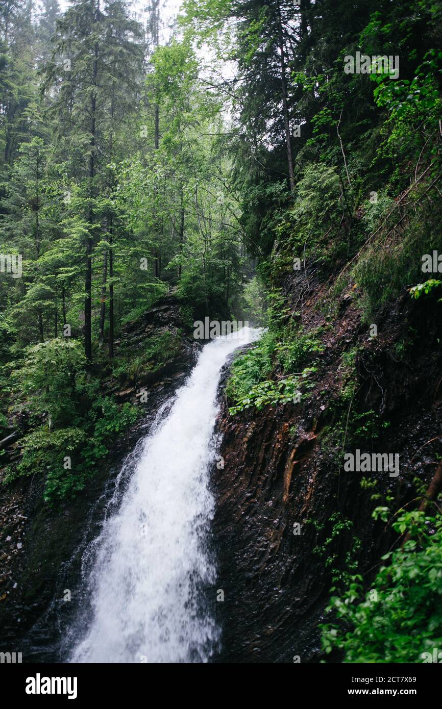 Mountain waterall and river in the forst moody green atmosphere with cold water rainy day Stock Photo