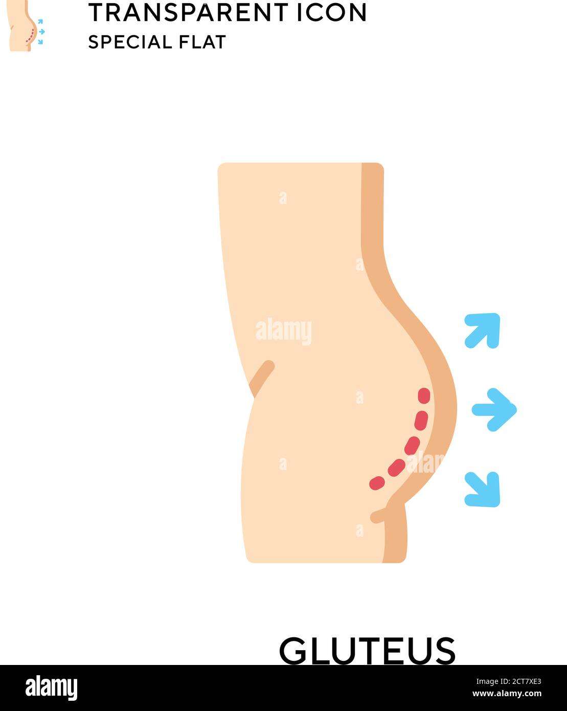 Anatomy of human buttocks hi-res stock photography and images - Alamy