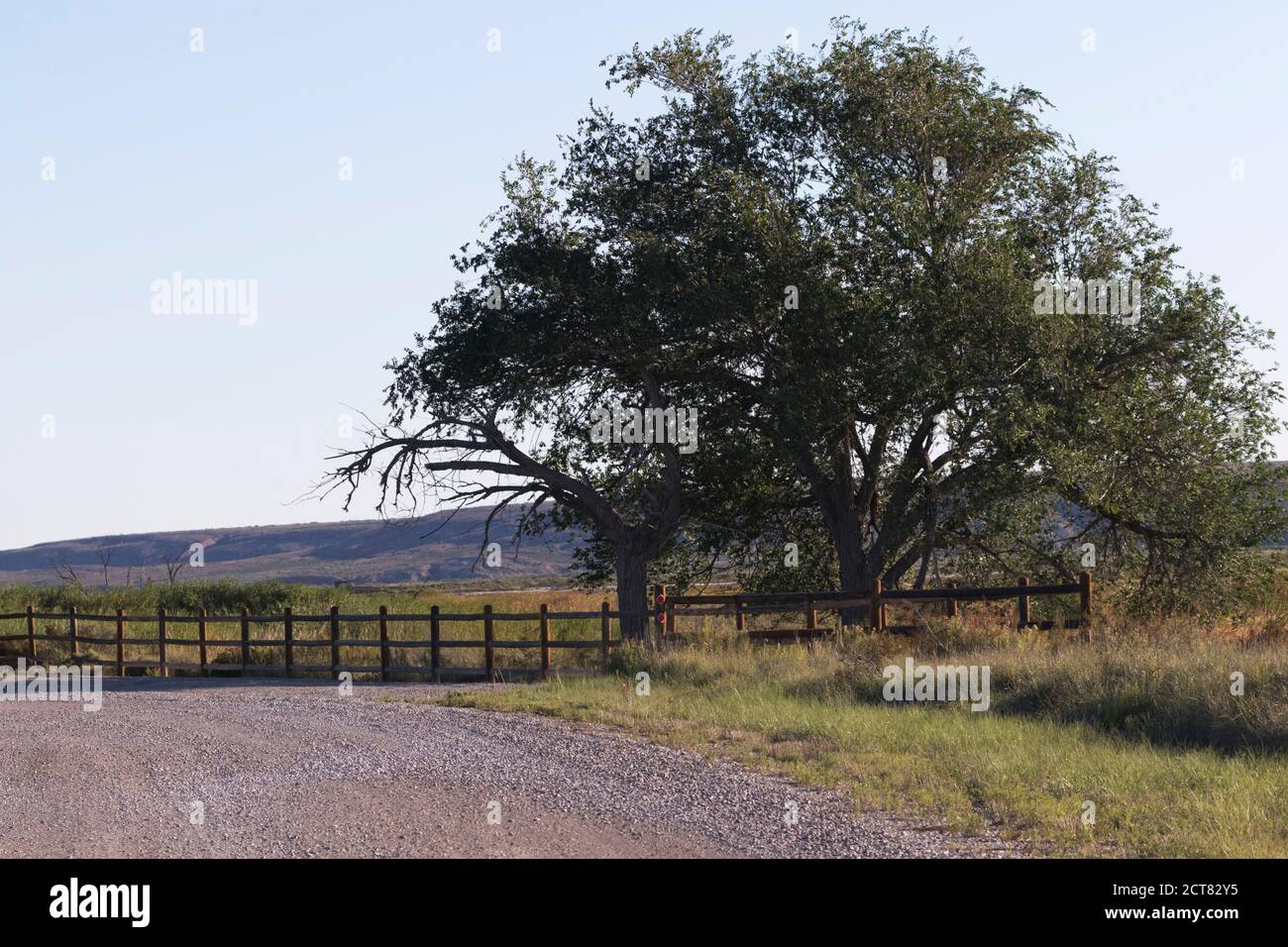 Along country road auto drive of Bitter Lake National Wildlife Refuge in New Mexico with tree, hills, rustic fence, and field. Stock Photo