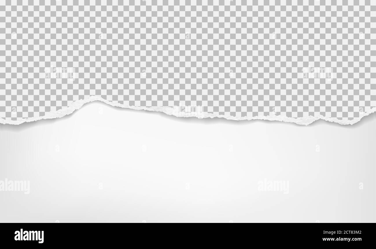 Torn, ripped white squared paper with soft shadow is on white ...