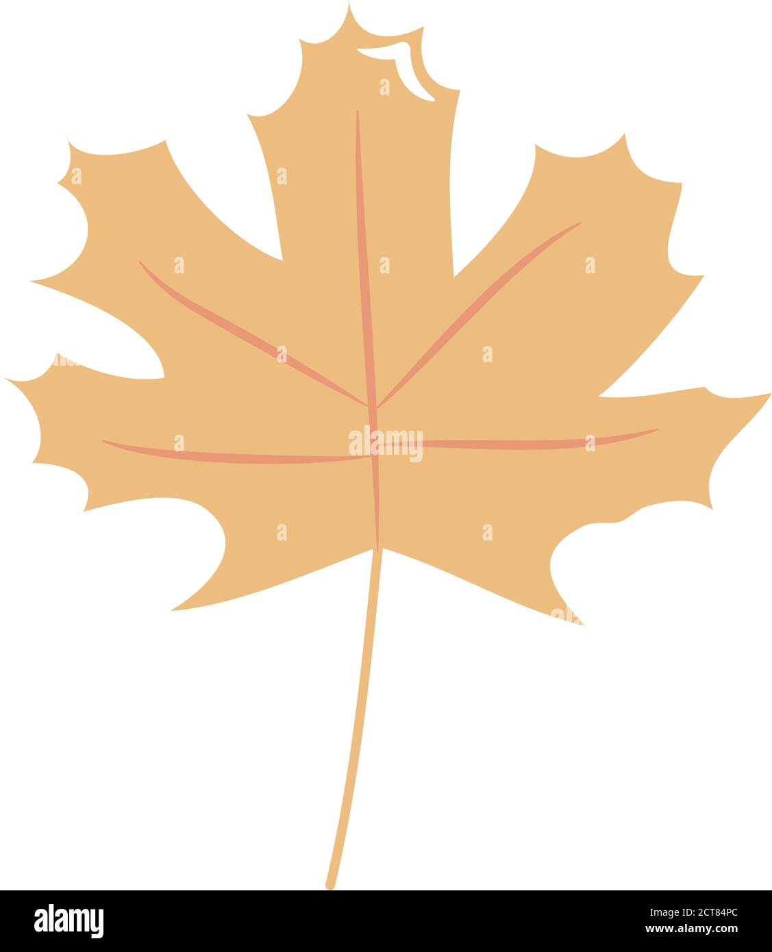 autumn leaves concept, maple leaf icon over white background, flat ...