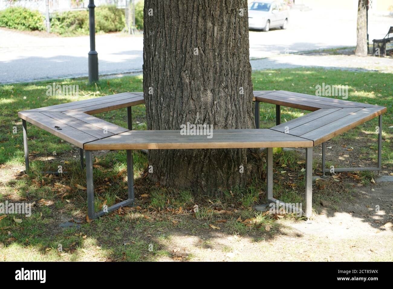 Wooden benches around the tree in the park Stock Photo - Alamy