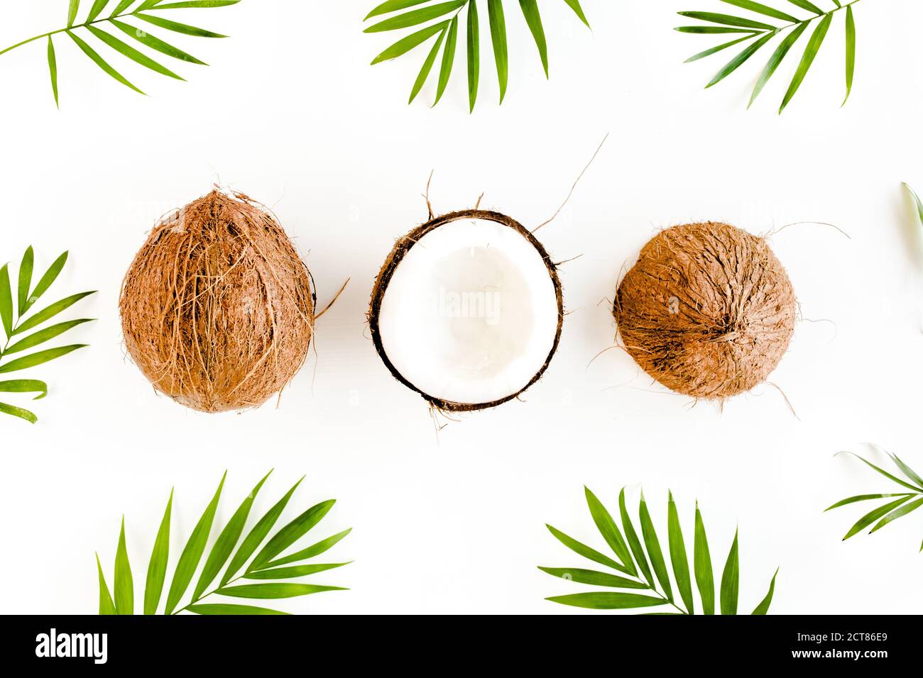 Pattern with coconuts and tropical palm leaves on white background ...
