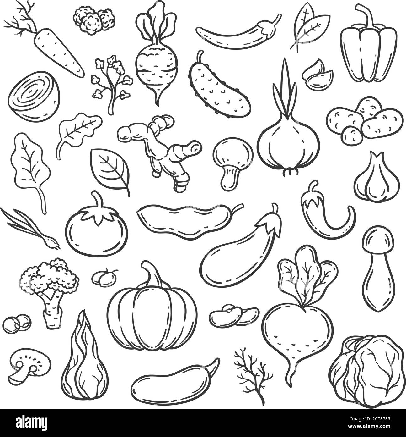 Doodle vegetables. Hand drawn different carrot, onion and cucumber. Ginger, mushroom and garlic, cabbage and tomato veggie food vector set. Cabbage an Stock Vector