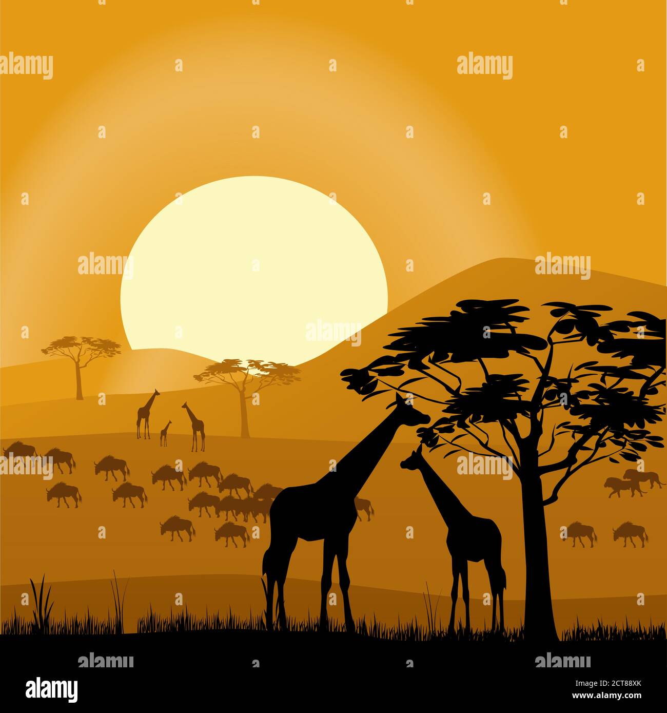 African Giraffes Stock Vector