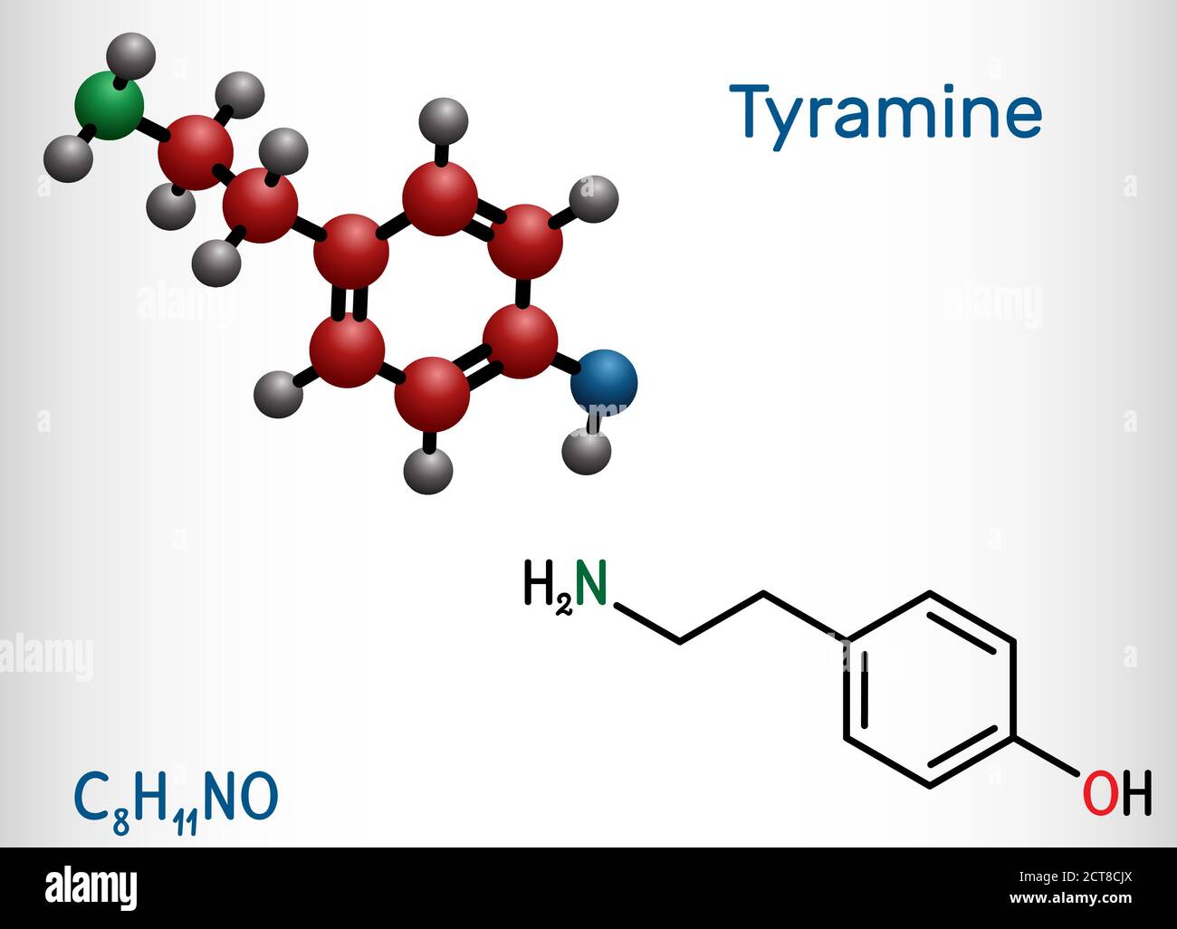 Tyramine, tyramin molecule. It is monoamine compound derived from tyrosine. Structural chemical formula and molecule model. Vector illustration Stock Vector