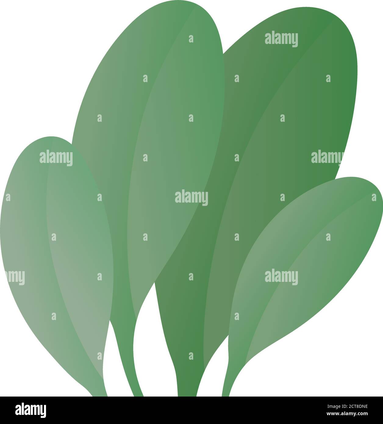 Isolated green leaves vector design Stock Vector Image & Art - Alamy