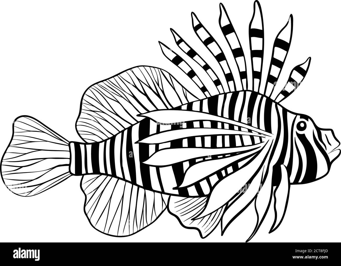 Featured image of post How To Draw A Lionfish The drawing book will show you how to draw these interesting sea animals