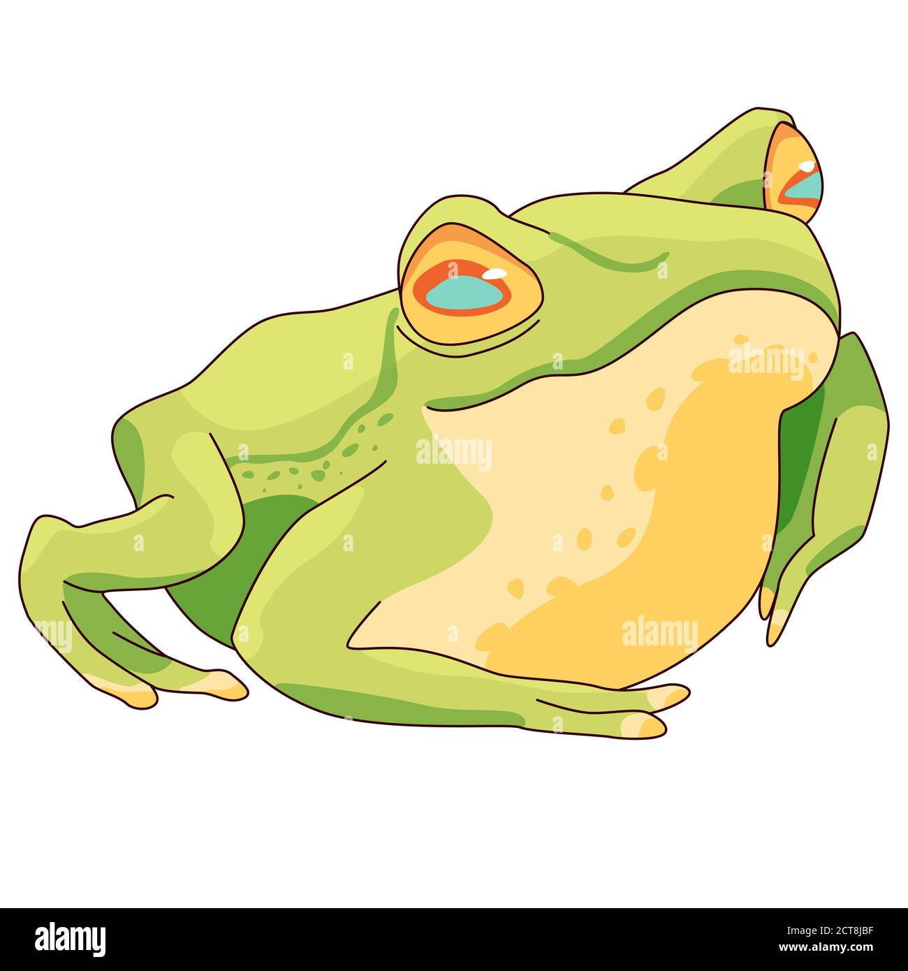 Realistic frog on white isolated backdrop. Green amphibia for invitation or  gift card, scrapbook, notebook sticker, bath tile. Phone case or cloth pri  Stock Vector Image & Art - Alamy