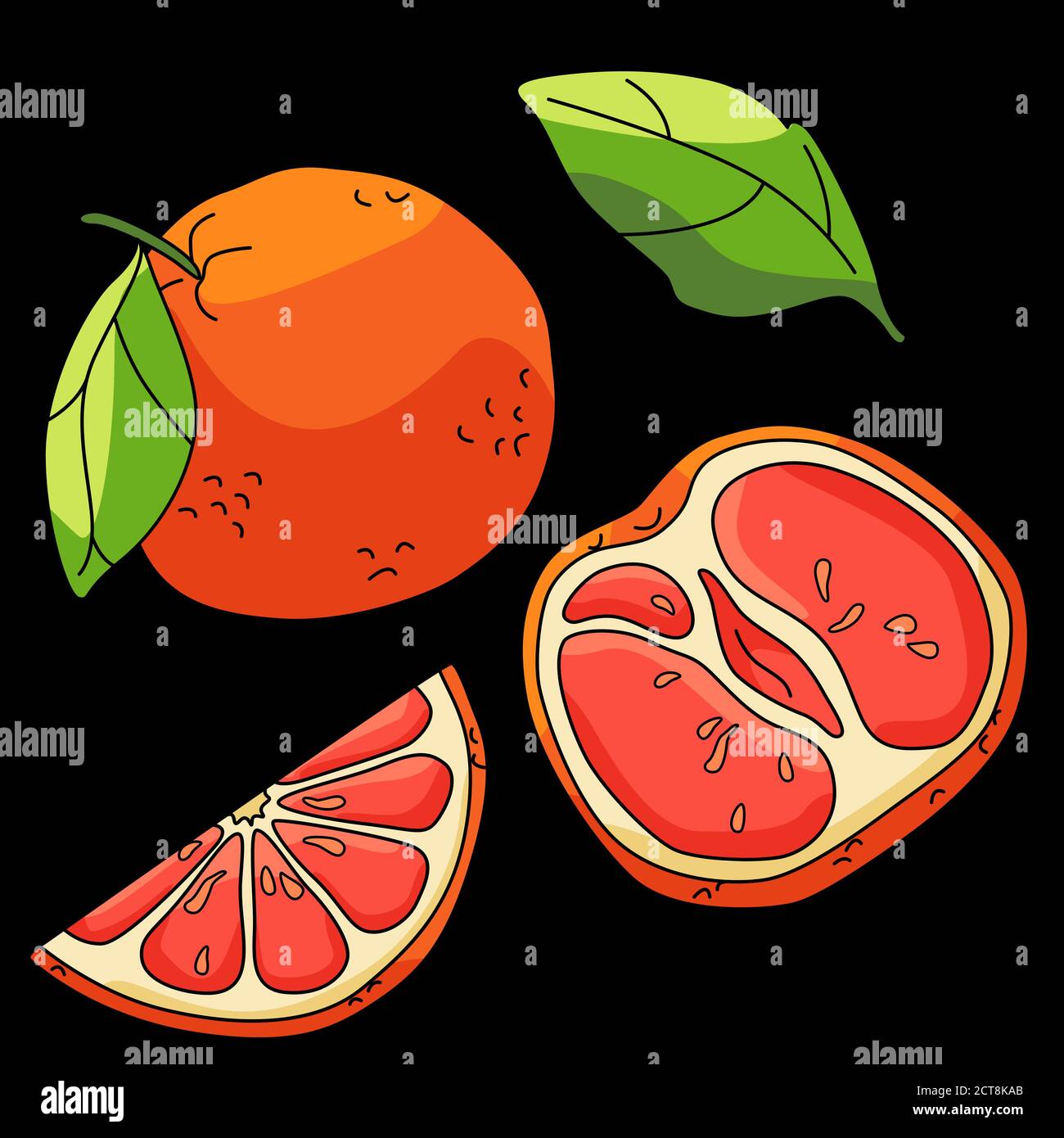 Grapefruit sticker set on black backdrop. Tropical fruit pieces for gift card, healthy food shop logo, bath tile, juice pack. Phone case or cloth prin Stock Vector