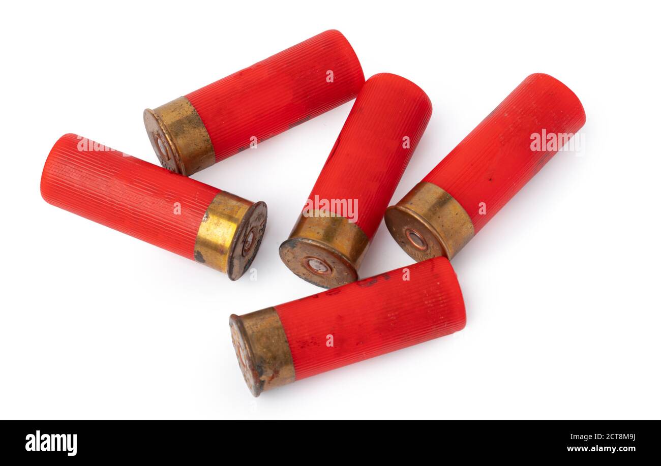Shotgun shell cartridge isolated on white background Stock Photo - Alamy