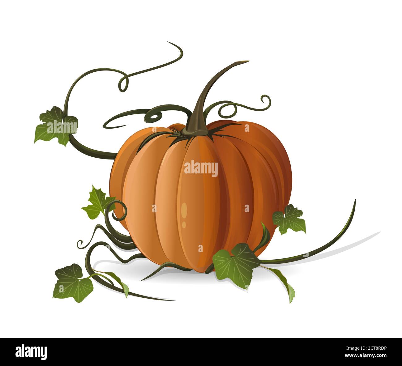 Pumpkin with leaves icon Stock Vector Images - Alamy