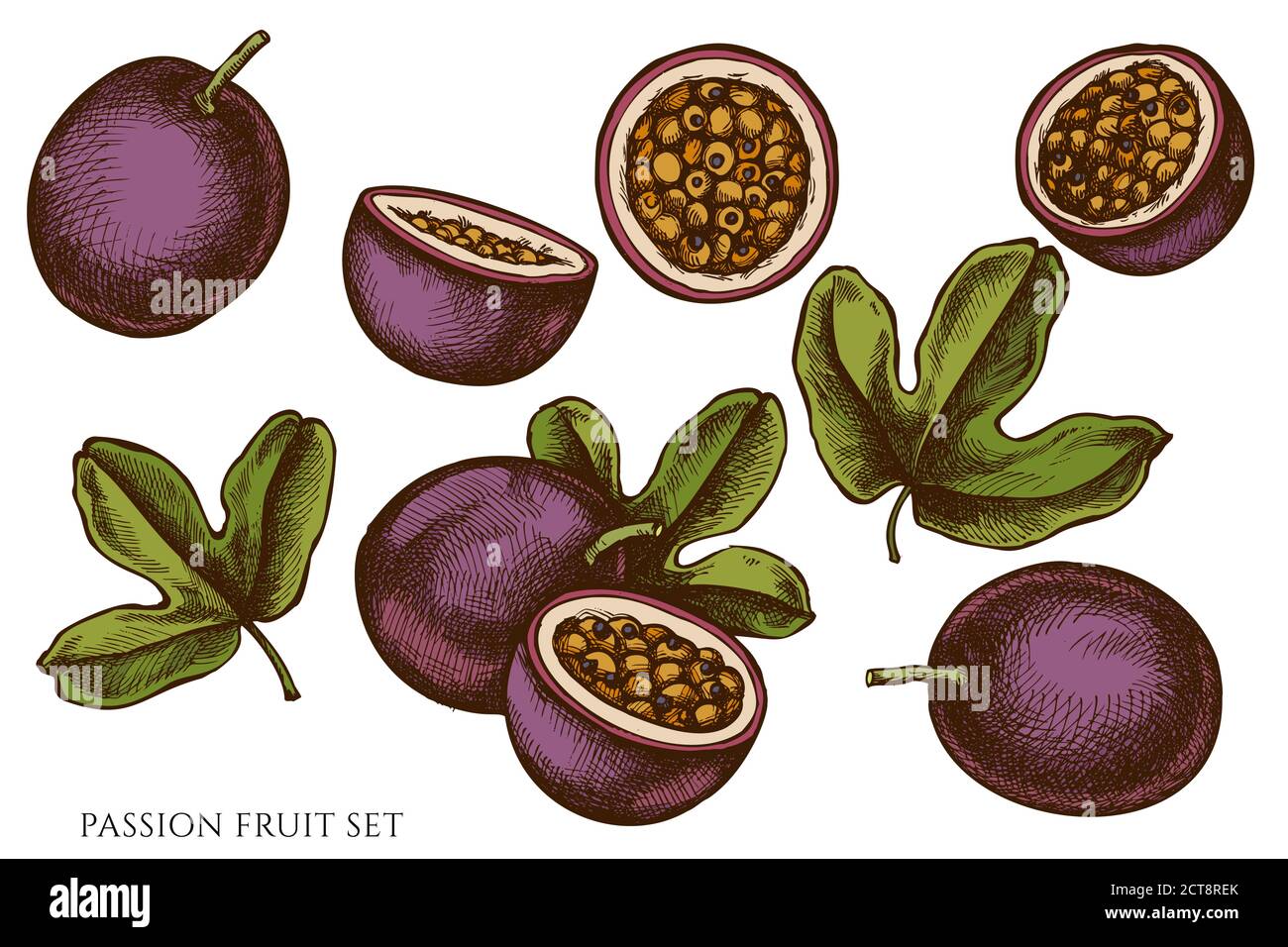 Vector set of hand drawn colored passion fruit Stock Vector Image & Art ...